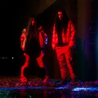 The Arcturians