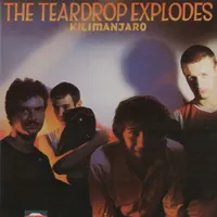 The Teardrop Explodes