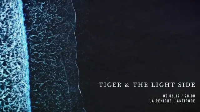 Tiger & The Light Side