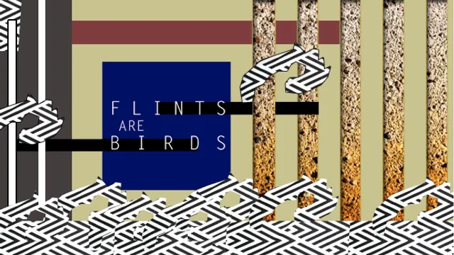 FLINTS ARE BIRDS