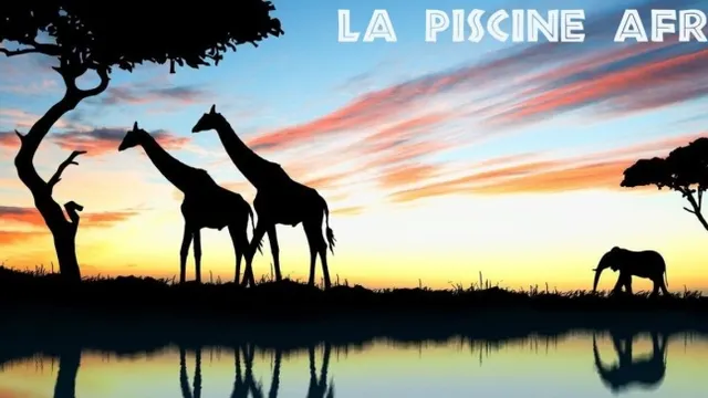La Piscine Afrique