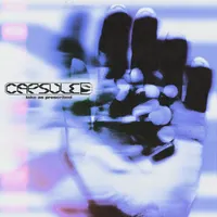 Capsule 9
