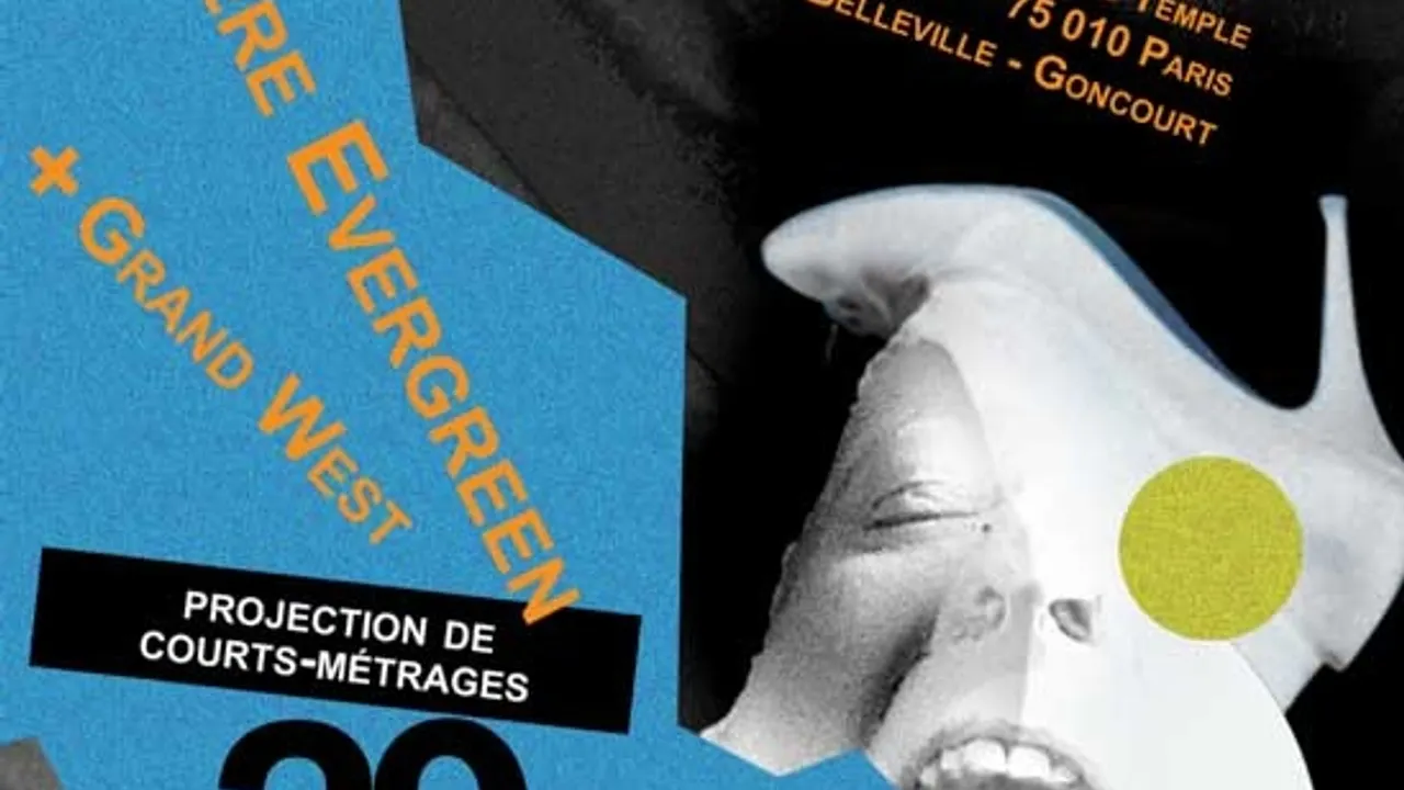 NOUVEAUX CINEMAS PARTYZ