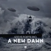 Steve Forte Rio