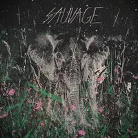 Sauvage