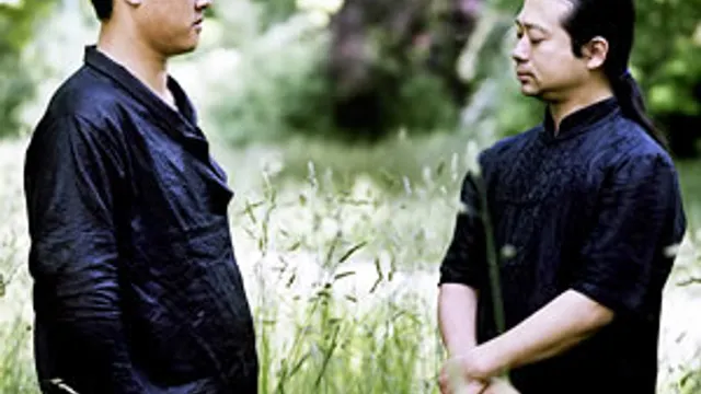Wang Li & Wu Wei en concert