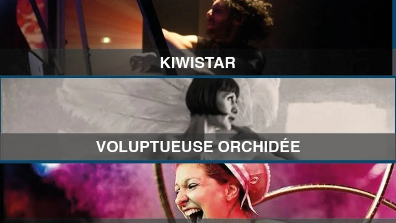 Dimie Cat + Kiwistar + Voluptueuse Orchidée + Lila Chupa-Hoops - Swing Circle Festival