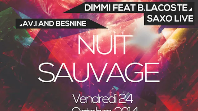 Nuit Sauvage