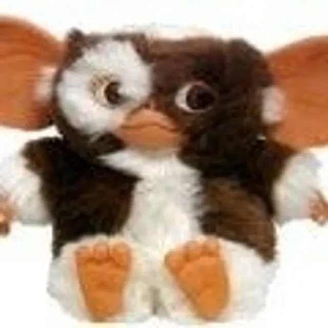 Gizmo L
