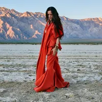 Julieta Venegas