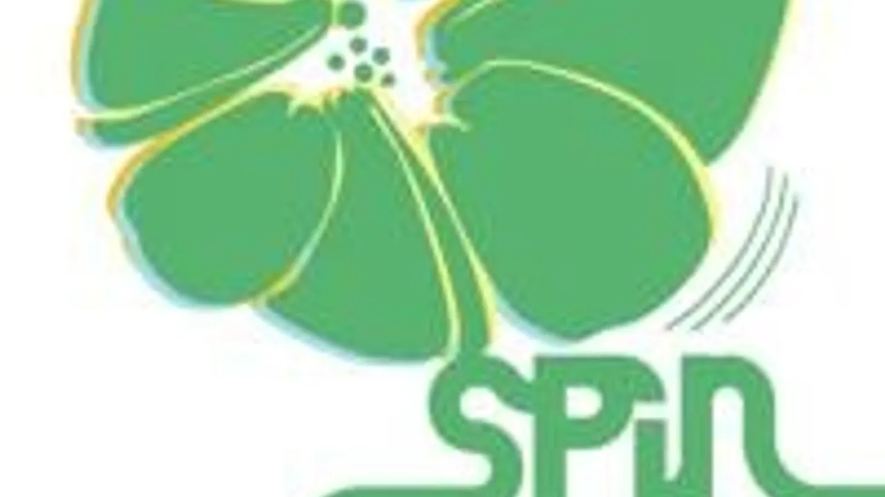Spin