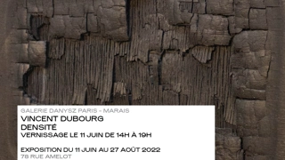 Vincent Dubourg, Densité