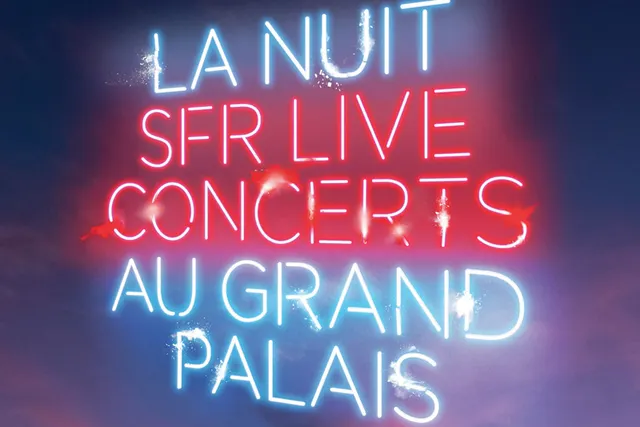 La Nuit Electro va enflammer le Grand Palais