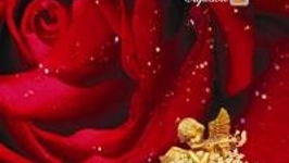 Divinity "Cupidon"