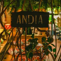 Andia