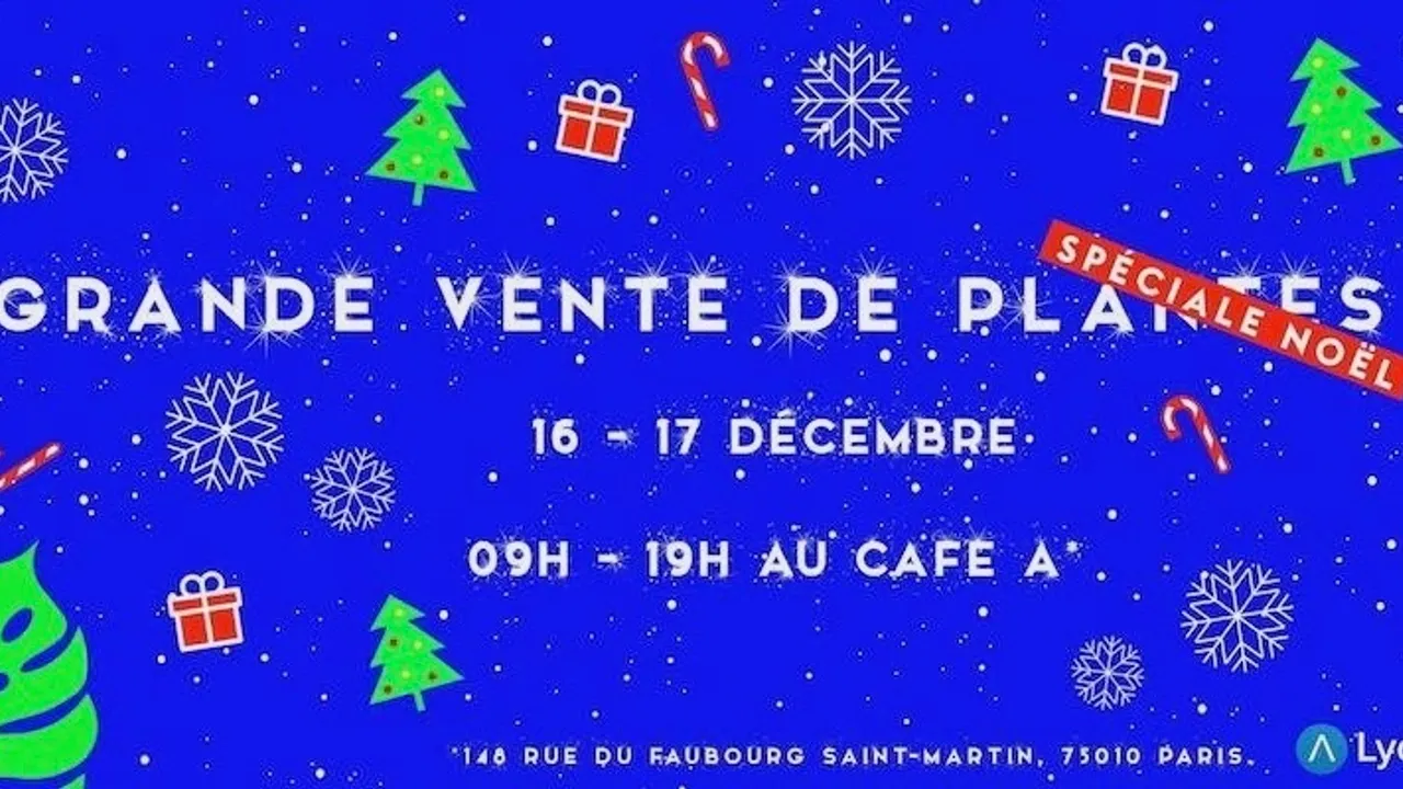 Grande Vente de Plantes : spécial Noël