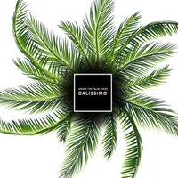 Calissimo