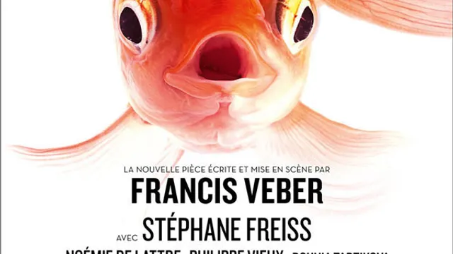 Un animal de compagnie