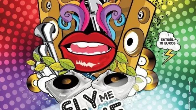 FLY ME 2 THE GROOVE