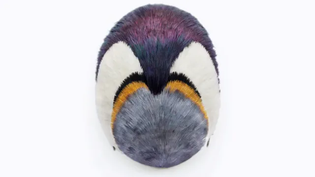 [EXPOSITION-FOCUS] Marion Delarue. Pierre, plume, ciseaux !