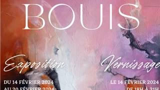 EXPOSITION SOLO : Marité Bouis