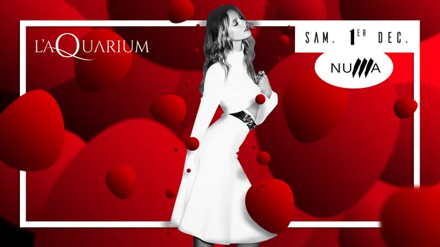 L'Aquarium Club New Edition by Numa