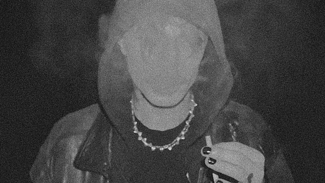The Haunted Youth