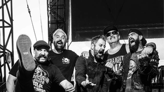 Zebrahead