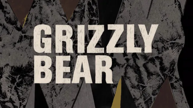 Grizzly Bear