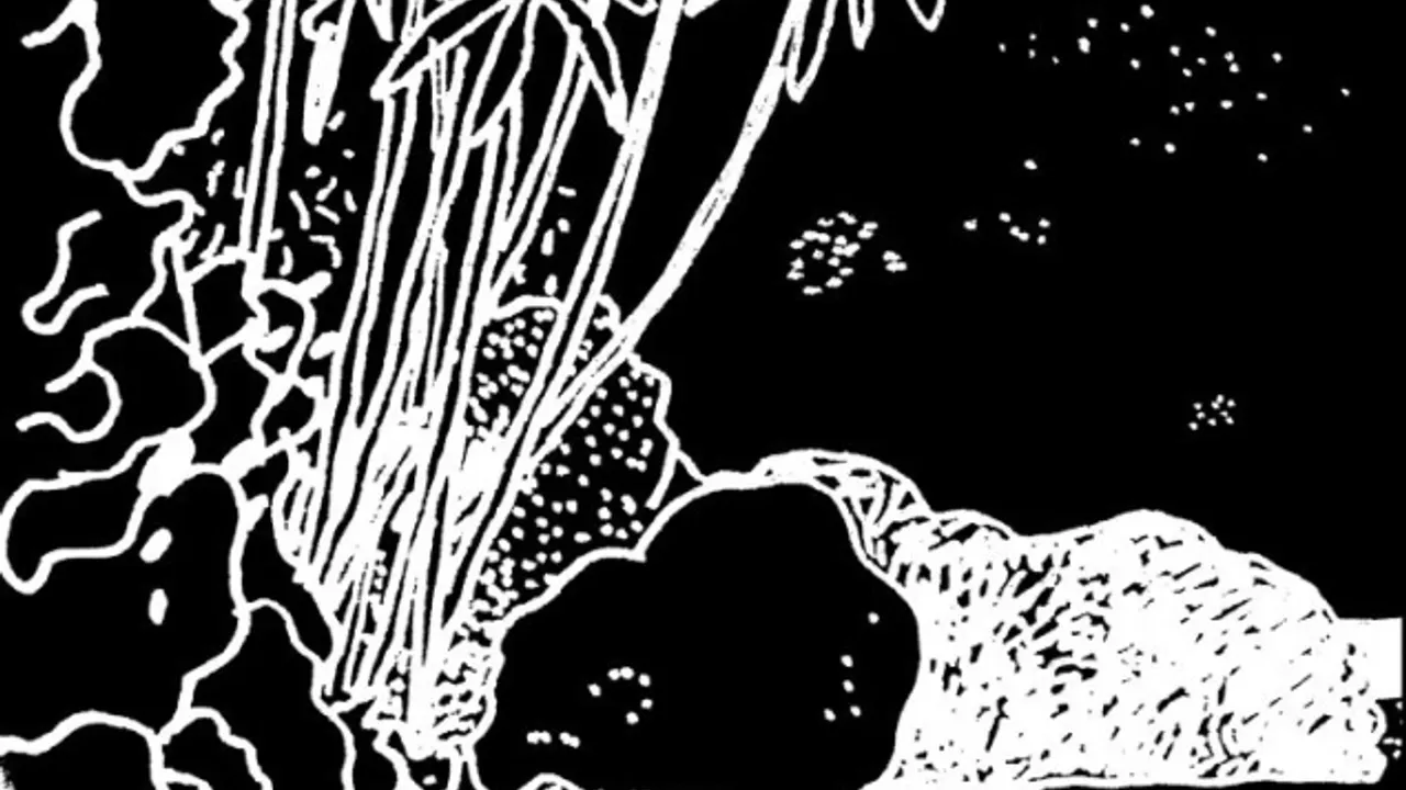 Smallville Meets Live At Robert Johnson: Lauer Live, Ata, Moomin, Jacques
