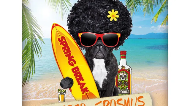 SPRING BREAK PARTY