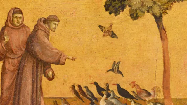 Giotto e compagni