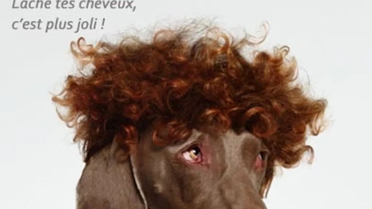 Haircut stratagem