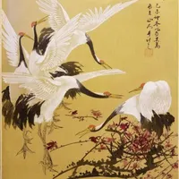 xxhang