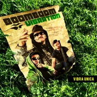 Boom Boom Vibration