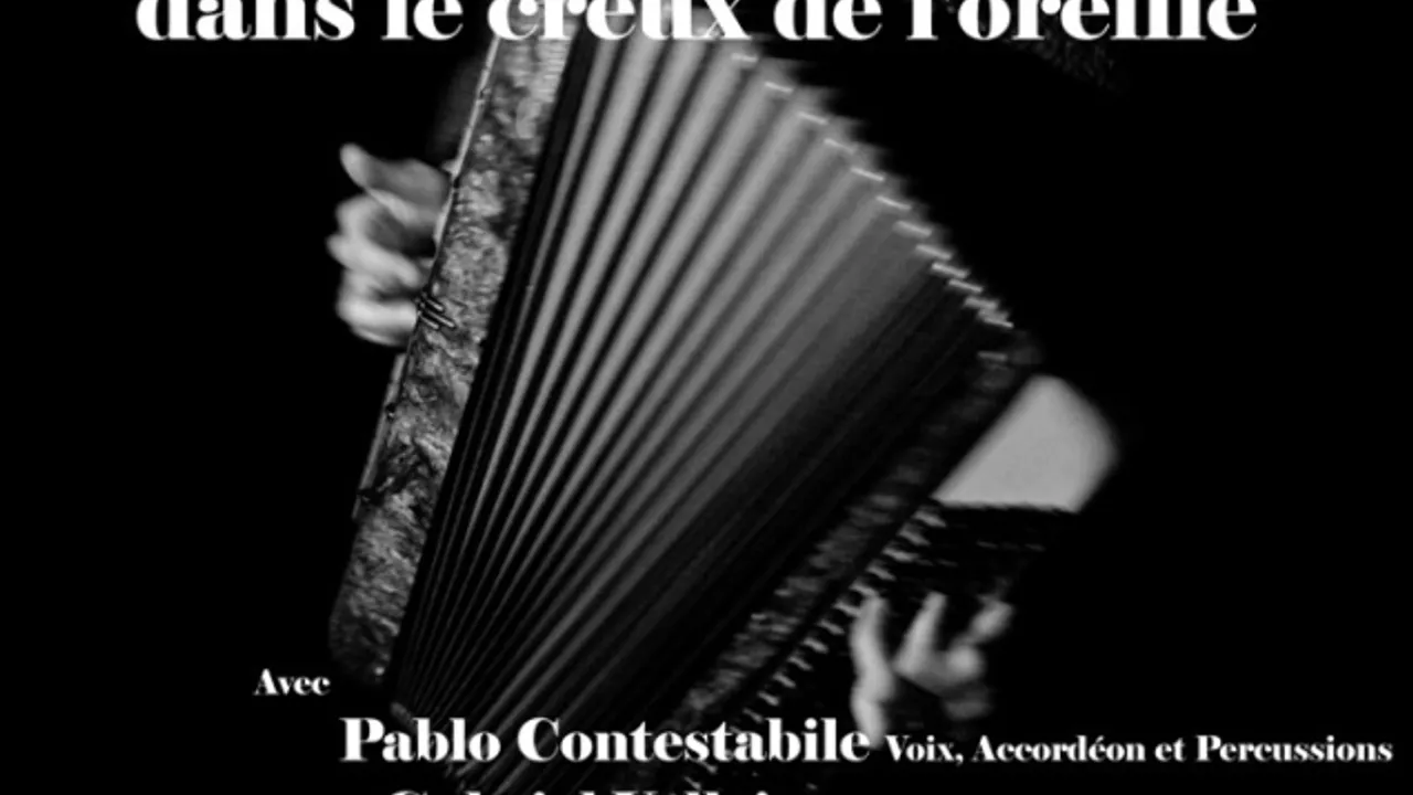Concert : L'Argentine dans le creux de l'oreille