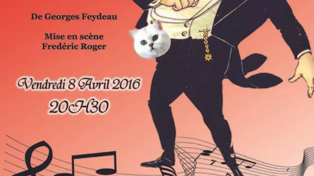 Chat en poche