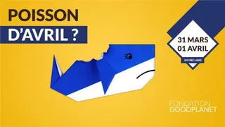 Poisson d'avril ?