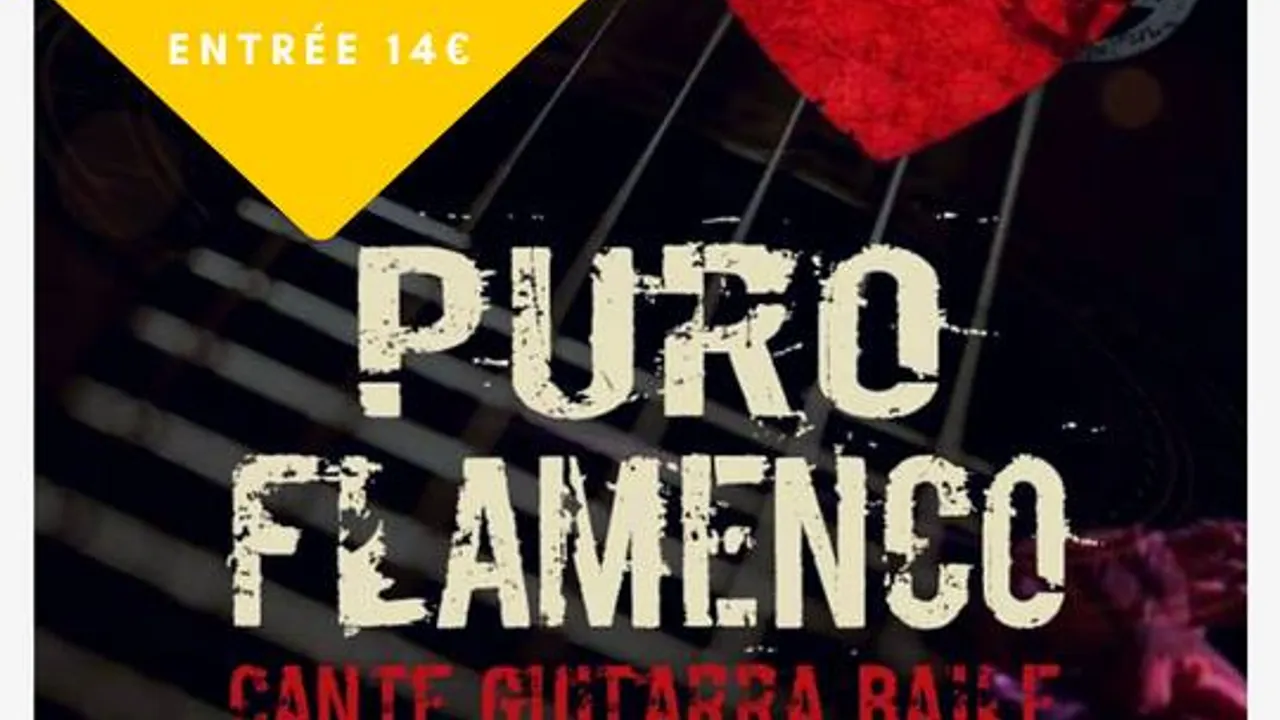 Puro Flamenco + Voleurs de Groove