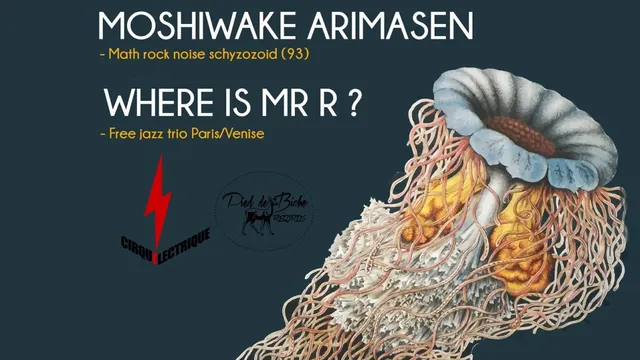 ECRAN + Ware Ware Wa Moshiwake Arimasen + Where Is Mr. R ?