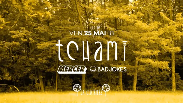 La Clairière : Tchami, Mercer, Badjokes