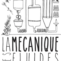 La Mécanique des Fluides