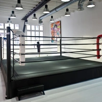 Sweat Boxing