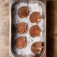 Iodé Sushi