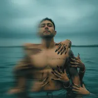 Elegant Hands
