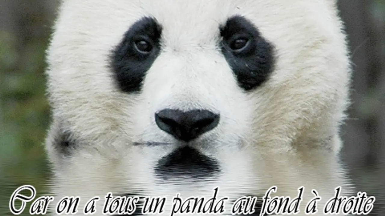 Au fond à droite