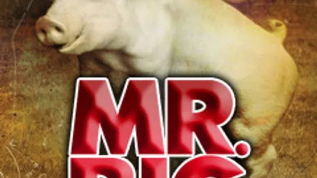 Mr BIG