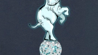Disco sur Le Nil
