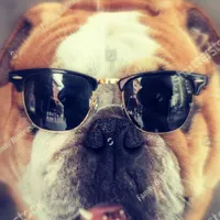 blimeydog