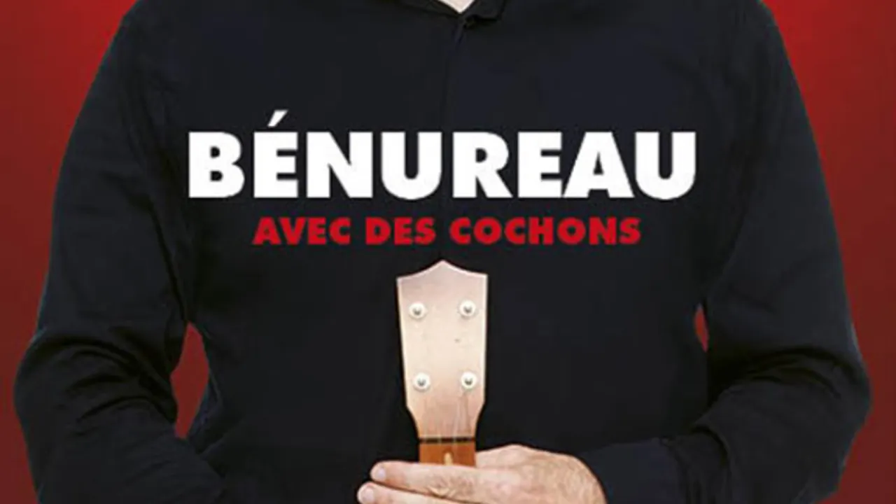 Bénureau avec des cochons